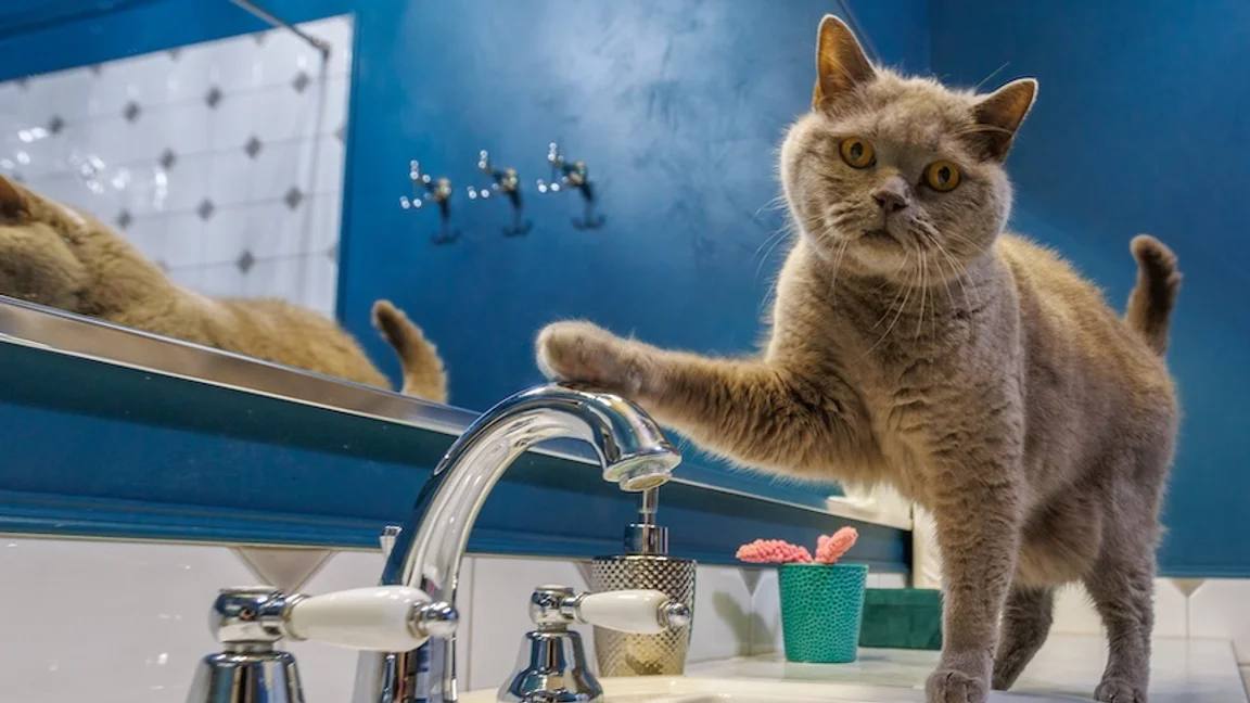 Плановое отключение горячей воды в Борисове пока откладывается 1 Плановое отключение горячей воды в Борисове пока откладывается