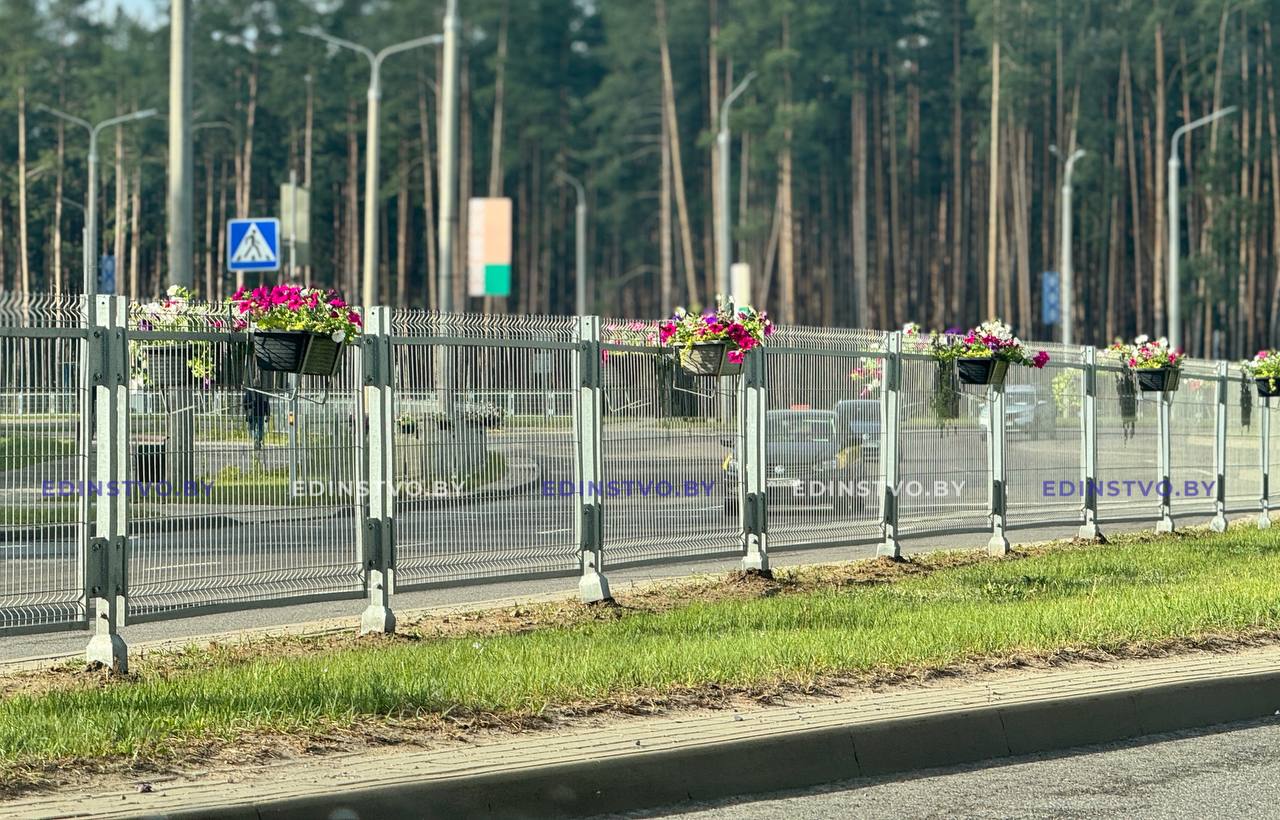 Яркие цветочные акценты появились на ул. Гагарина в Борисове 1 Яркие цветочные акценты появились на ул. Гагарина в Борисове