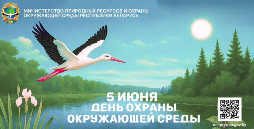 5 июня — День охраны окружающей среды: скажем «нет» пластиковому загрязнению