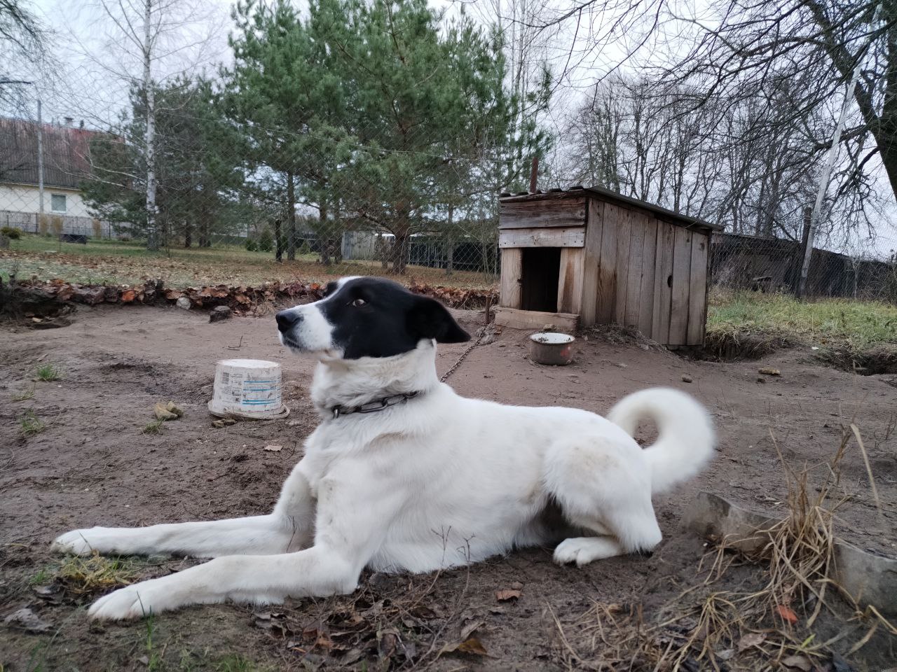 ФОТО ДНЯ: сфоткала меня?