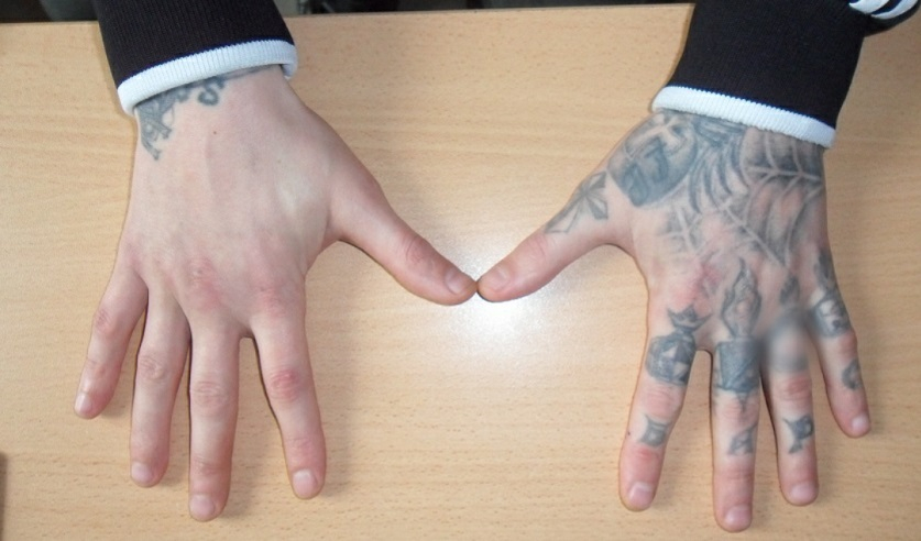 TikTok-контент с нацистской символикой. Жителю Бешенковичей предъявленообвинение