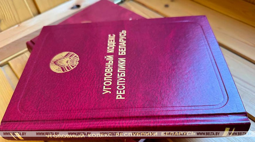 Минчанин выстрелил в кота из пневматической винтовки: возбуждено уголовное дело