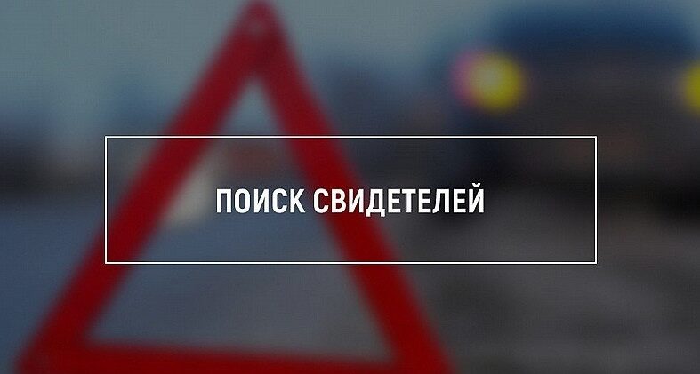 Борисовская ГАИ ищет свидетелей