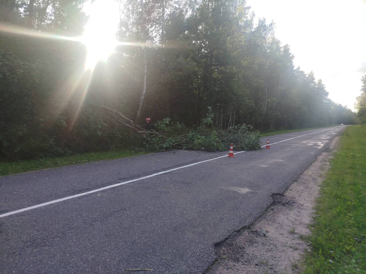 Спасатели Борисовского ГРОЧС устраняют последствия непогоды
