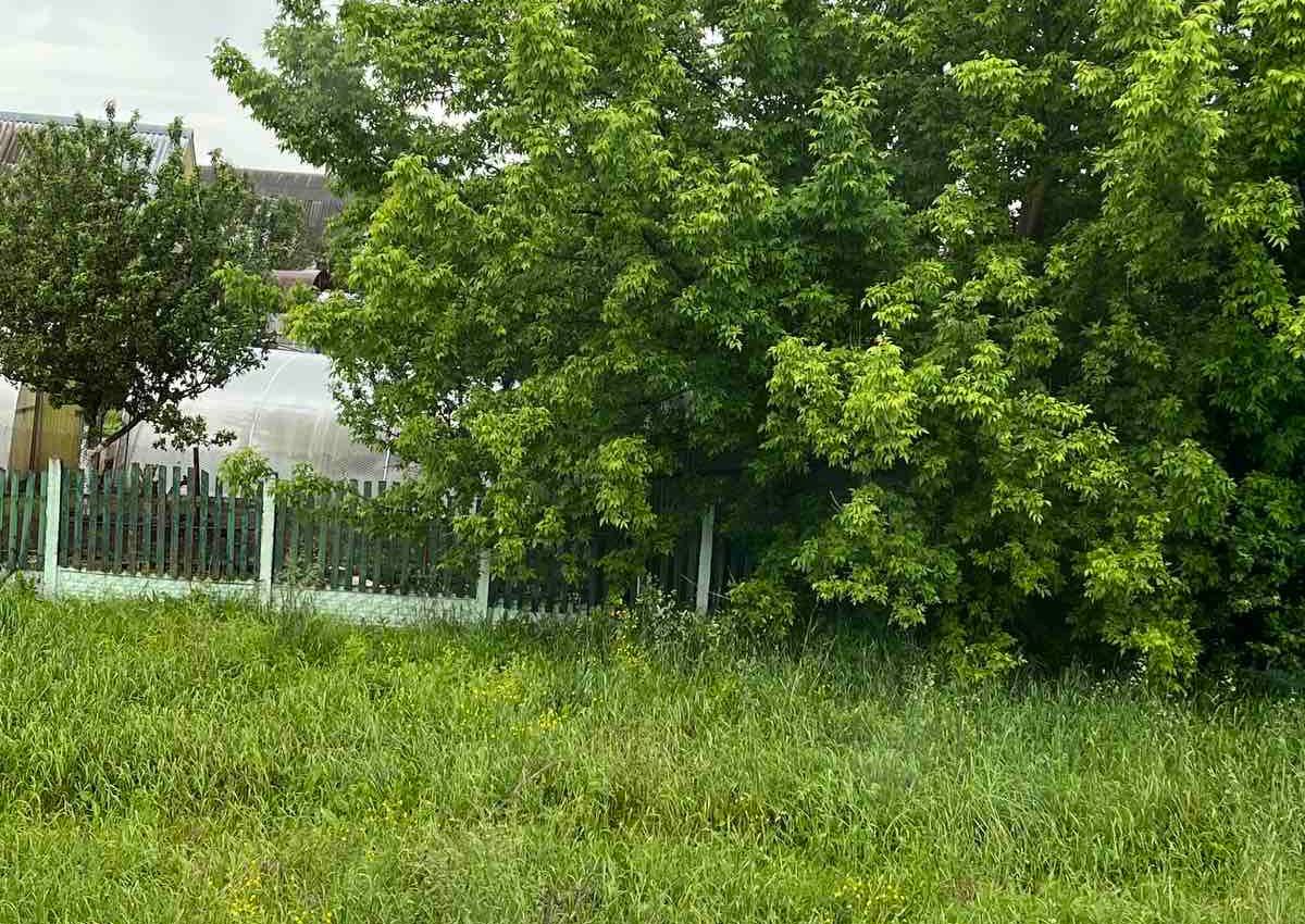 Почему у некоторых частных домовладений в Борисове убирают заборы