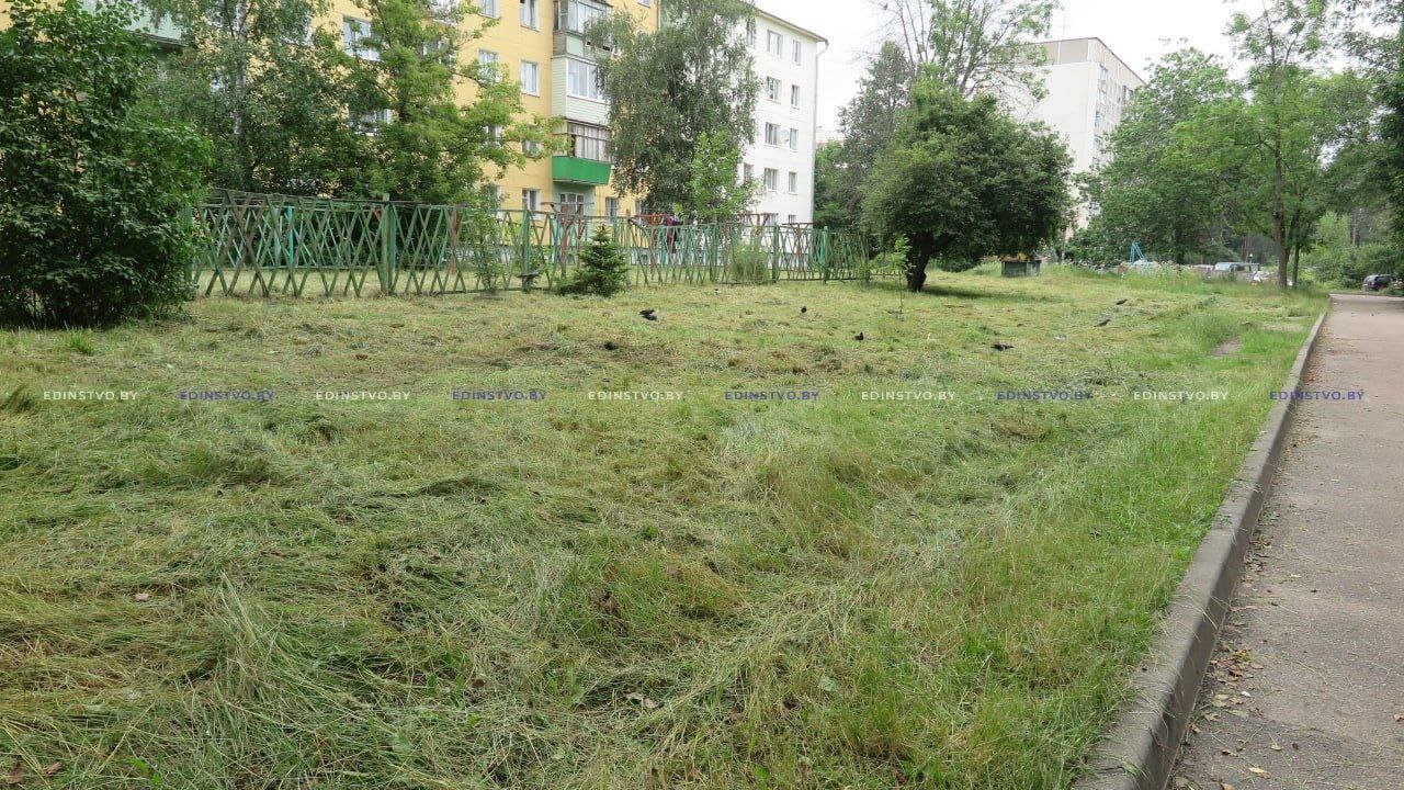 Как в Борисове организован покос травы