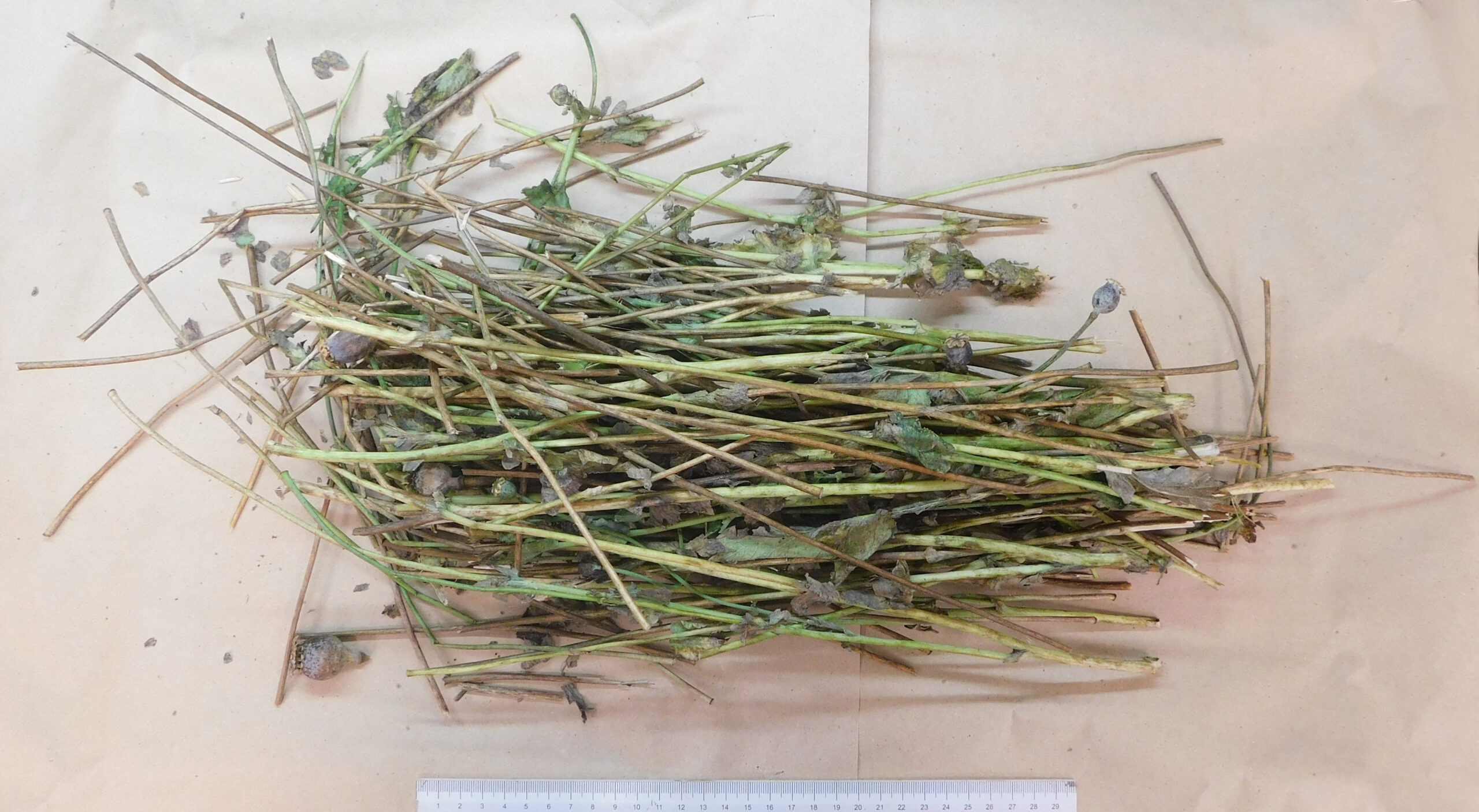 Наркотическое средство обнаружили у жителя Неманицы