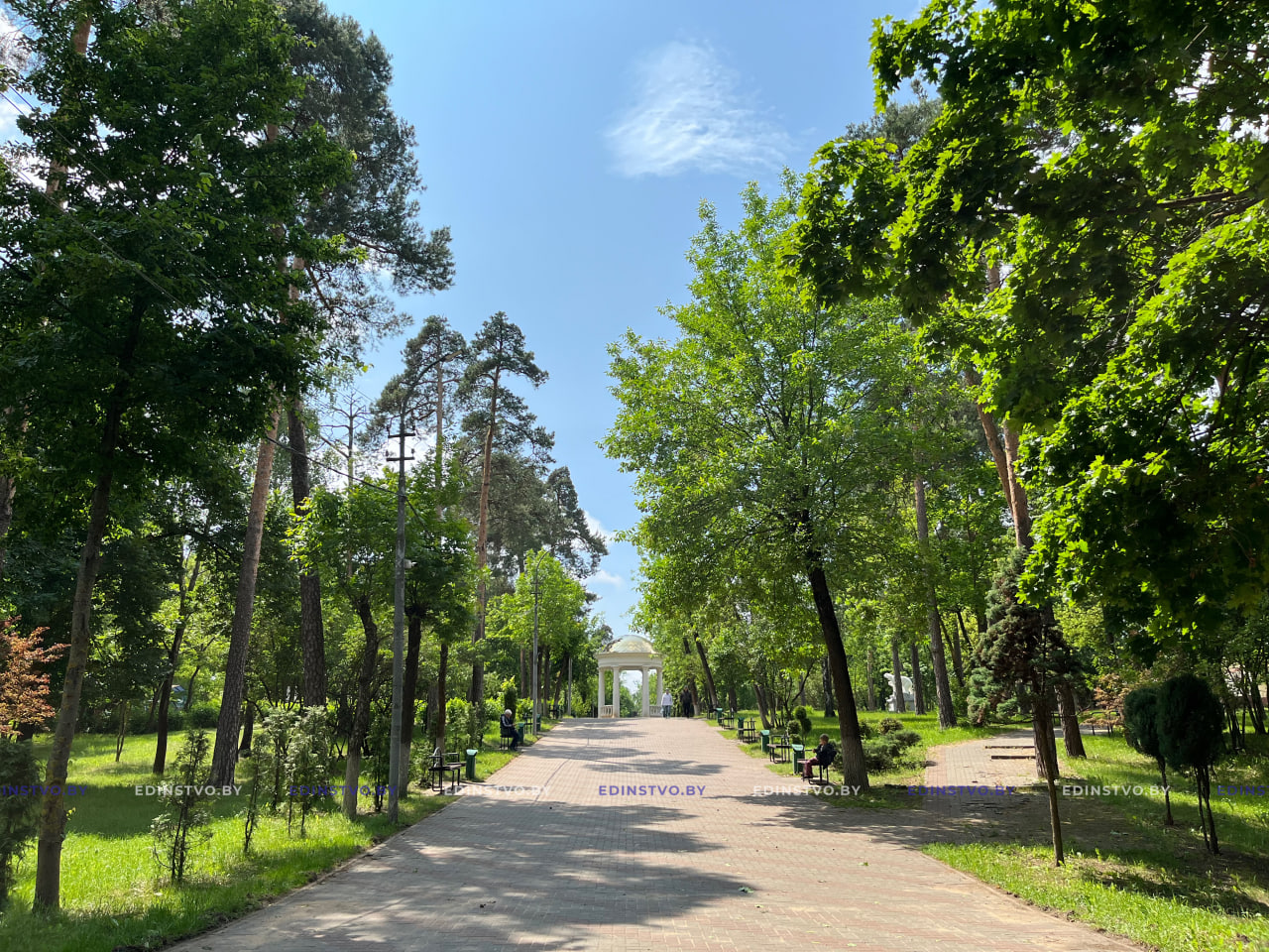 Какие мероприятия пройдут 16 августа в городском парке