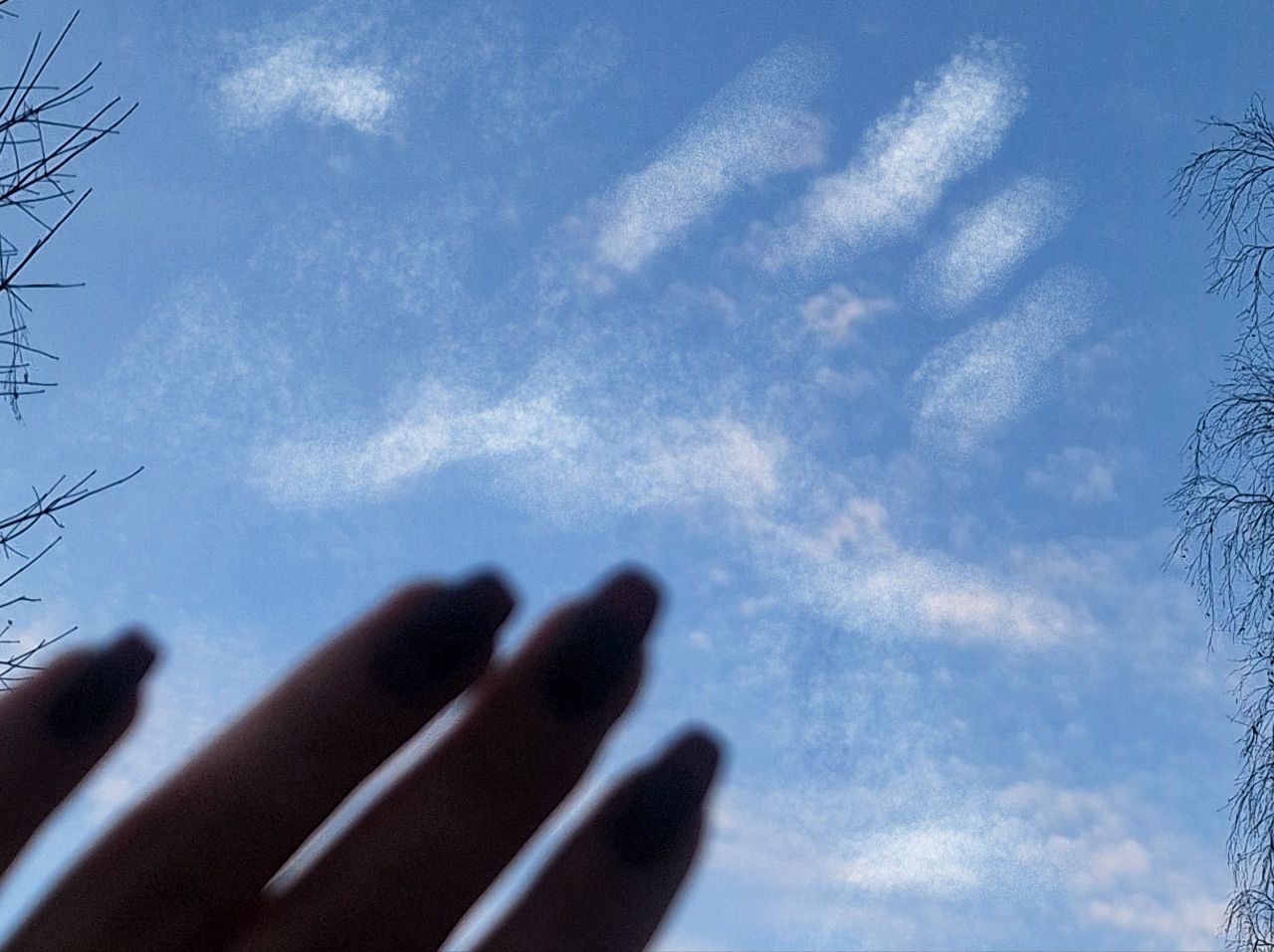 ФОТО ДНЯ: отпечаток