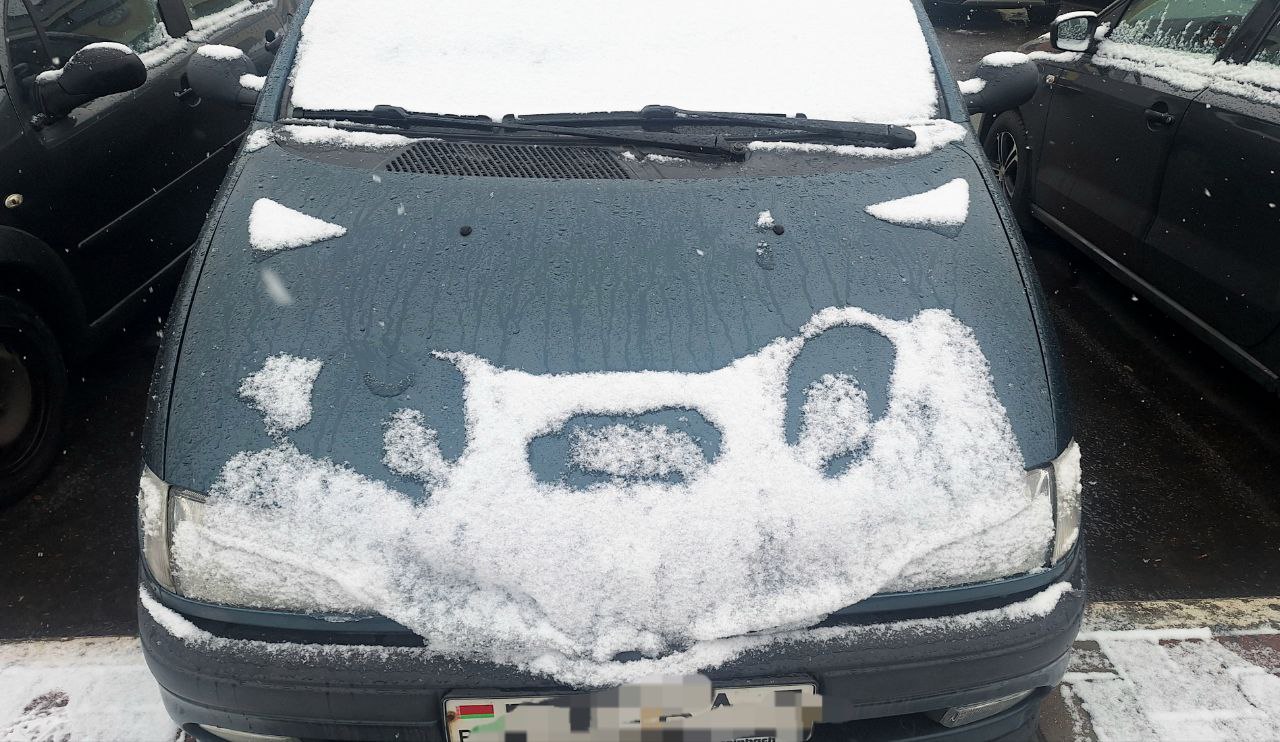 ФОТО ДНЯ: найдите собачку