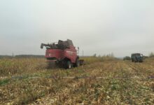 На 3 ноября с полей страны намолочено 10 миллионов 400 тысяч тонн зерна вместе срапсом и кукурузой 2 На 3 ноября с полей страны намолочено 10 миллионов 400 тысяч тонн зерна вместе срапсом и кукурузой