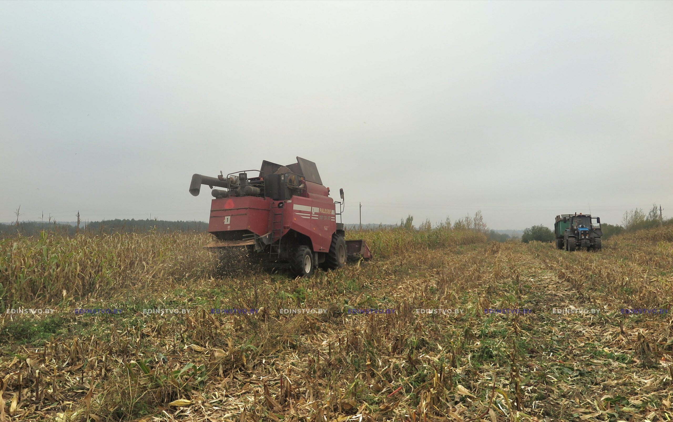 На 3 ноября с полей страны намолочено 10 миллионов 400 тысяч тонн зерна вместе срапсом и кукурузой
