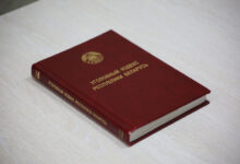 В Борисове возбуждено уголовное дело по факту кражи в строительном магазине