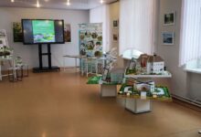 Благоустройство Борисовщины: лучшие инициативы и проекты на семинаре-практикуме