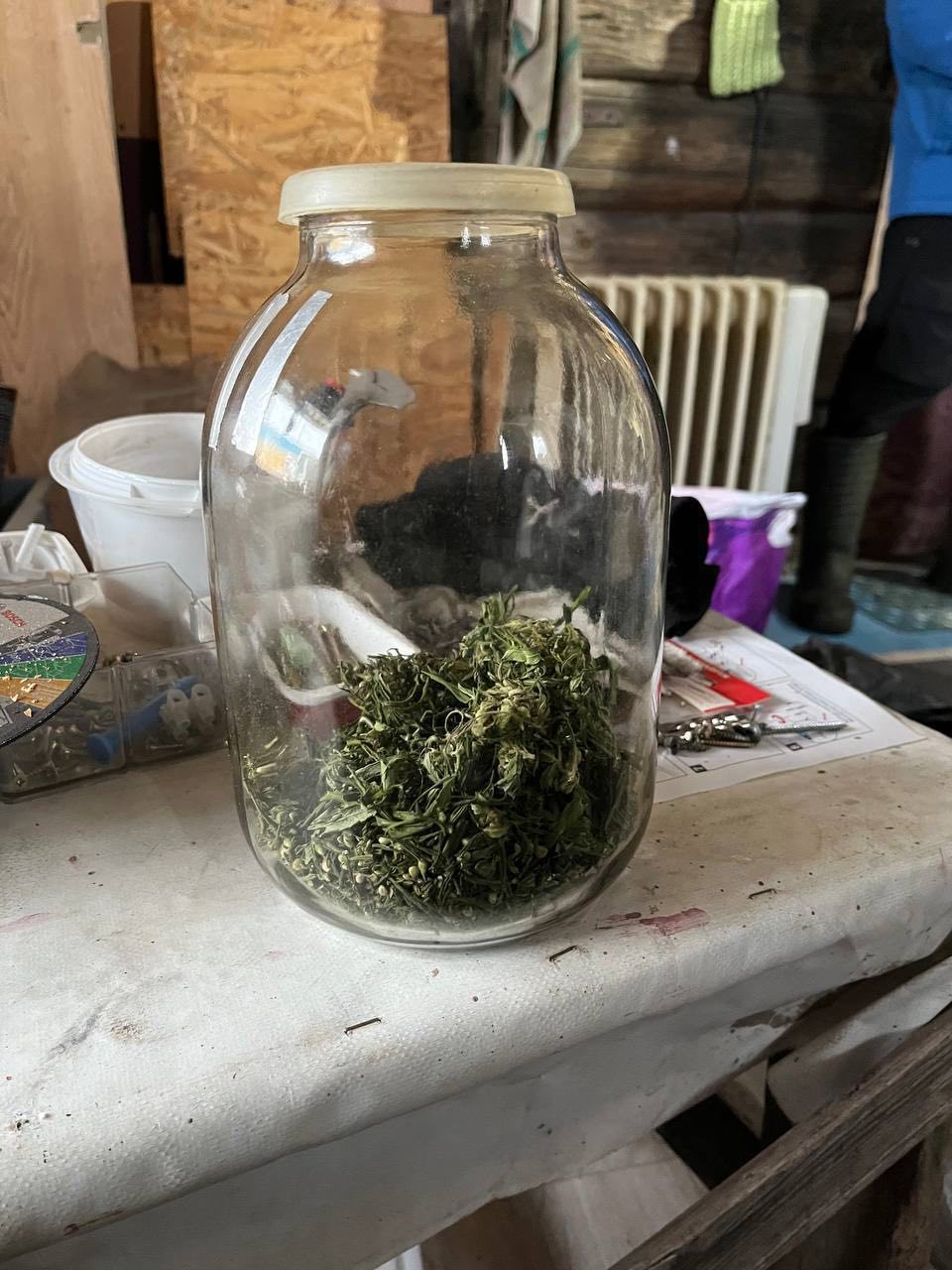 В Жодино задержан 61-летний мужчина с 500 г. марихуаны и оборудованием для еёвыращивания