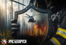 467 загораний в природных экосистемах произошло на территории Минской области сначала года