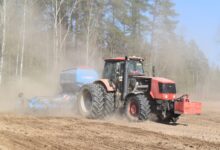 Как проходит весенняя посевная кампания в одном из элитхозов Борисовщины