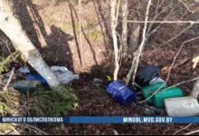 В Борисовском районе тракторист-машинист сливал топливо со служебной машины 8 В Борисовском районе тракторист-машинист сливал топливо со служебной машины