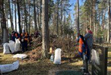 Кем и как наводится порядок на кладбищах Борисовщины 19 Кем и как наводится порядок на кладбищах Борисовщины