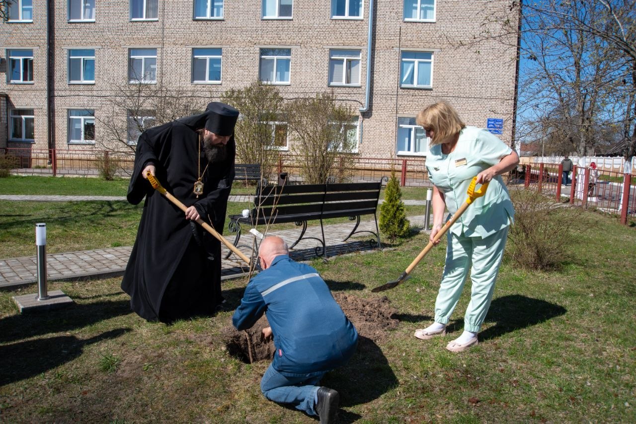 На территории Борисовского родильного дома заложили Вишнёвый сад