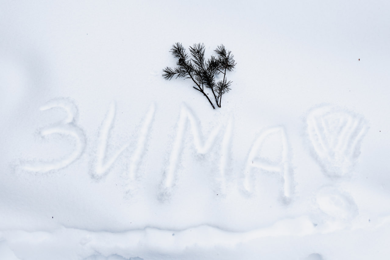 ФОТО ДНЯ: зима — уютная пора