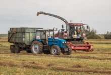 Почти 100 тысяч тонн кормовых единиц заготовлено на Борисовщине за 9 месяцев 2024 года