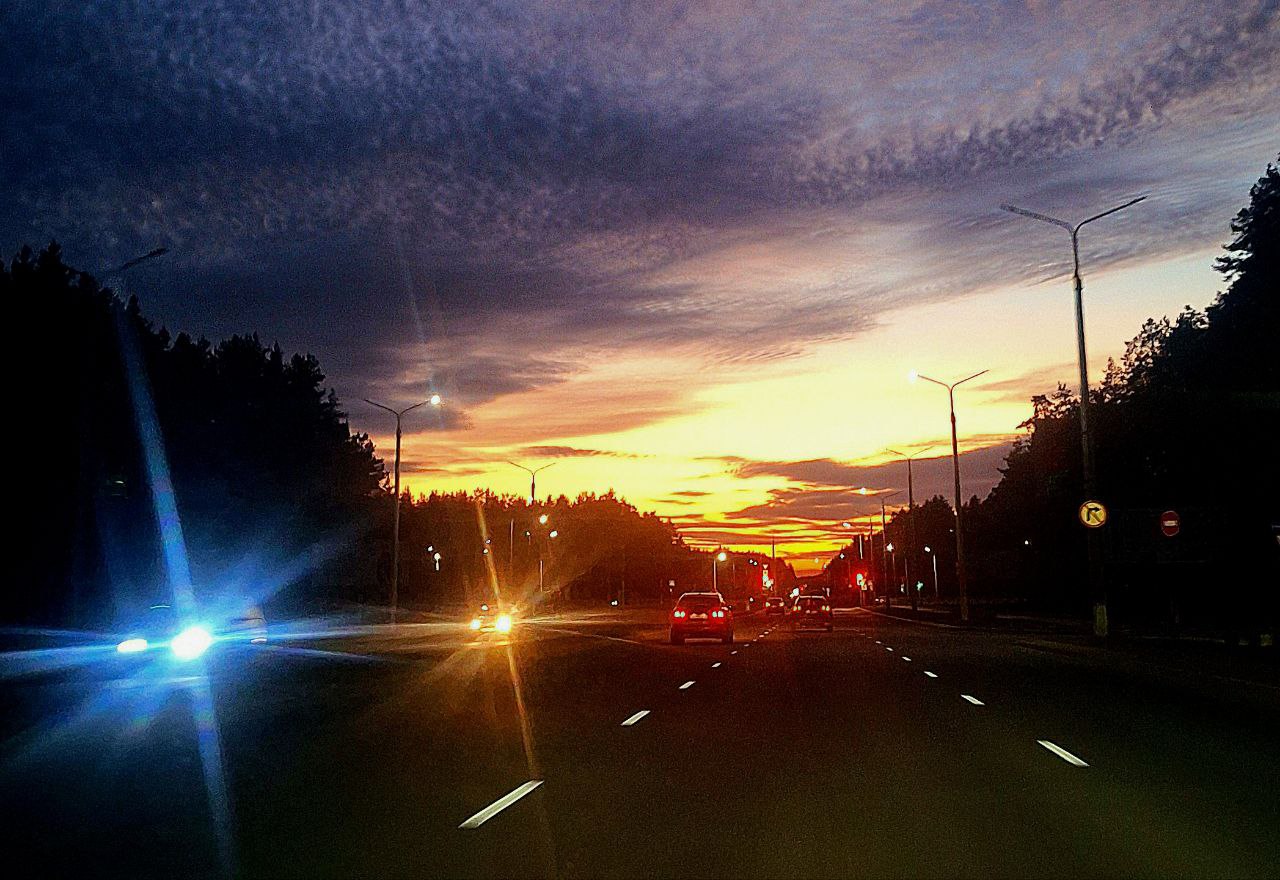 ФОТО ДНЯ: по дороге