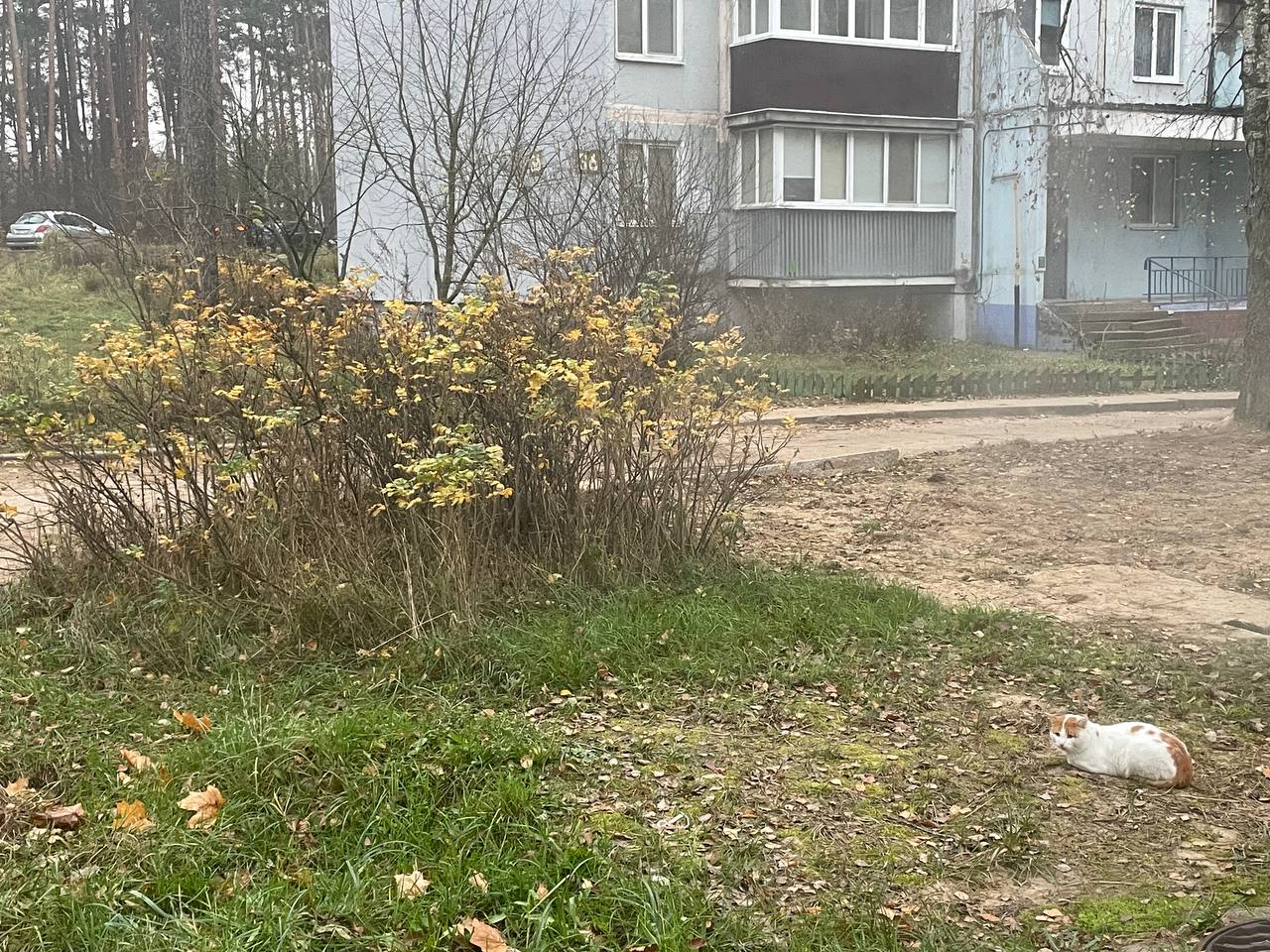 ФОТО ДНЯ: притаился