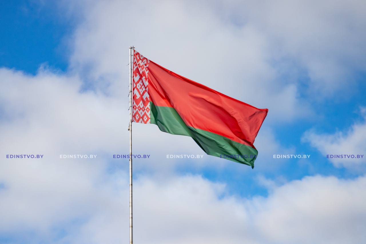 Надругался над госсимволикой: житель Барановичей заключен под стражу