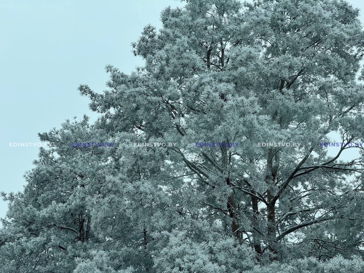 Кратковременный снег и до -17°С. Какая погода будет в Беларуси 18 февраля