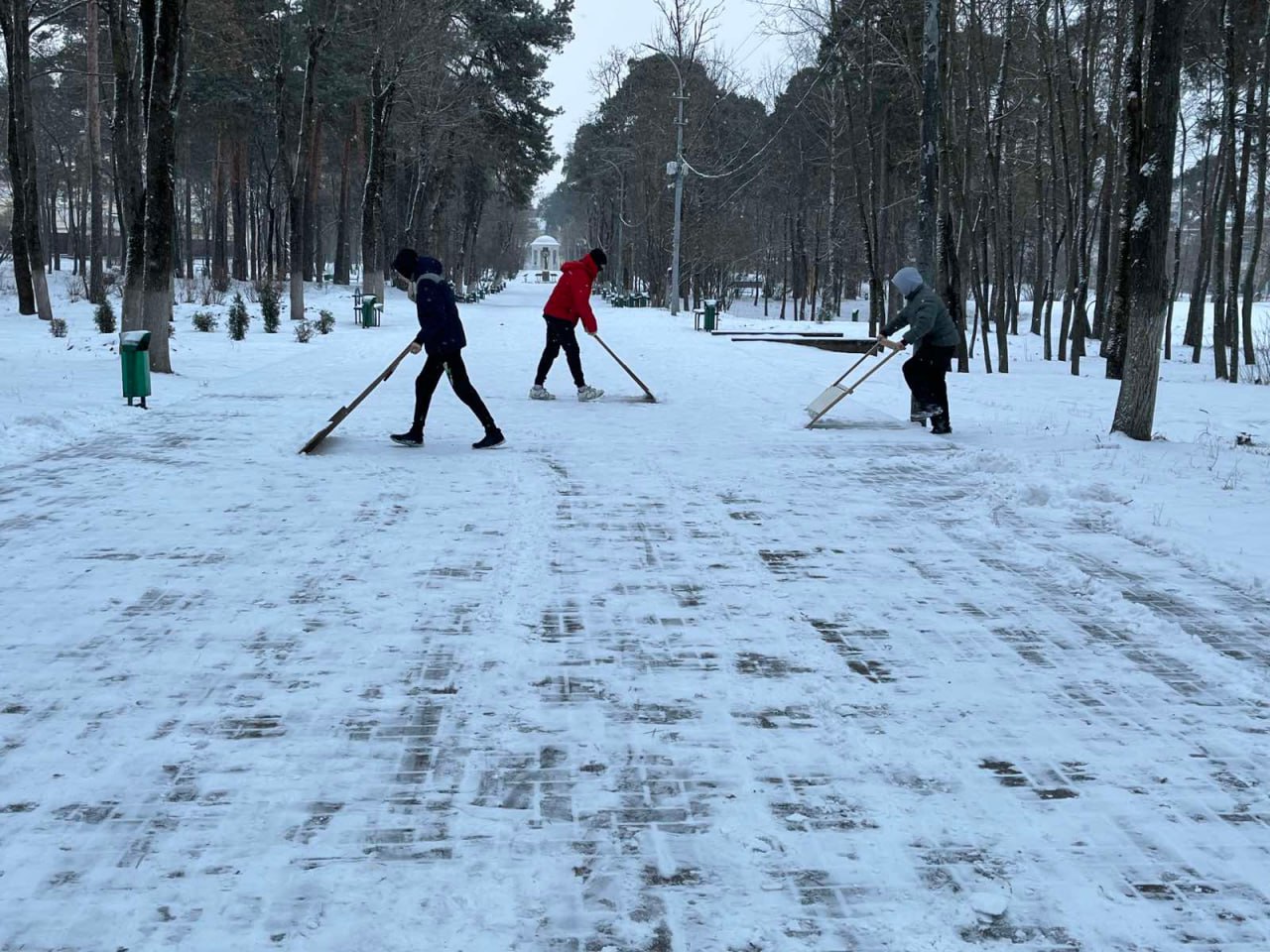 Новый взгляд на экологию: учащиеся БГСК присоединились к акции «Мой экологический след»
