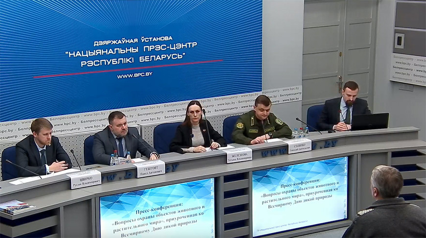 Как в Беларуси сохраняют краснокнижные виды животных и растений, рассказали в Минприроды