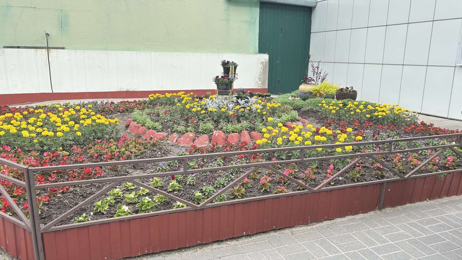 На Борисовском заводе медпрепаратов прошел I этап смотра-конкурса на лучшееэстетическое оформление зеленых уголков