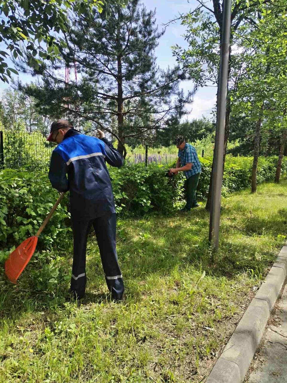 «Чистый четверг» снова объединил силы борисовчан в благоустройстве города