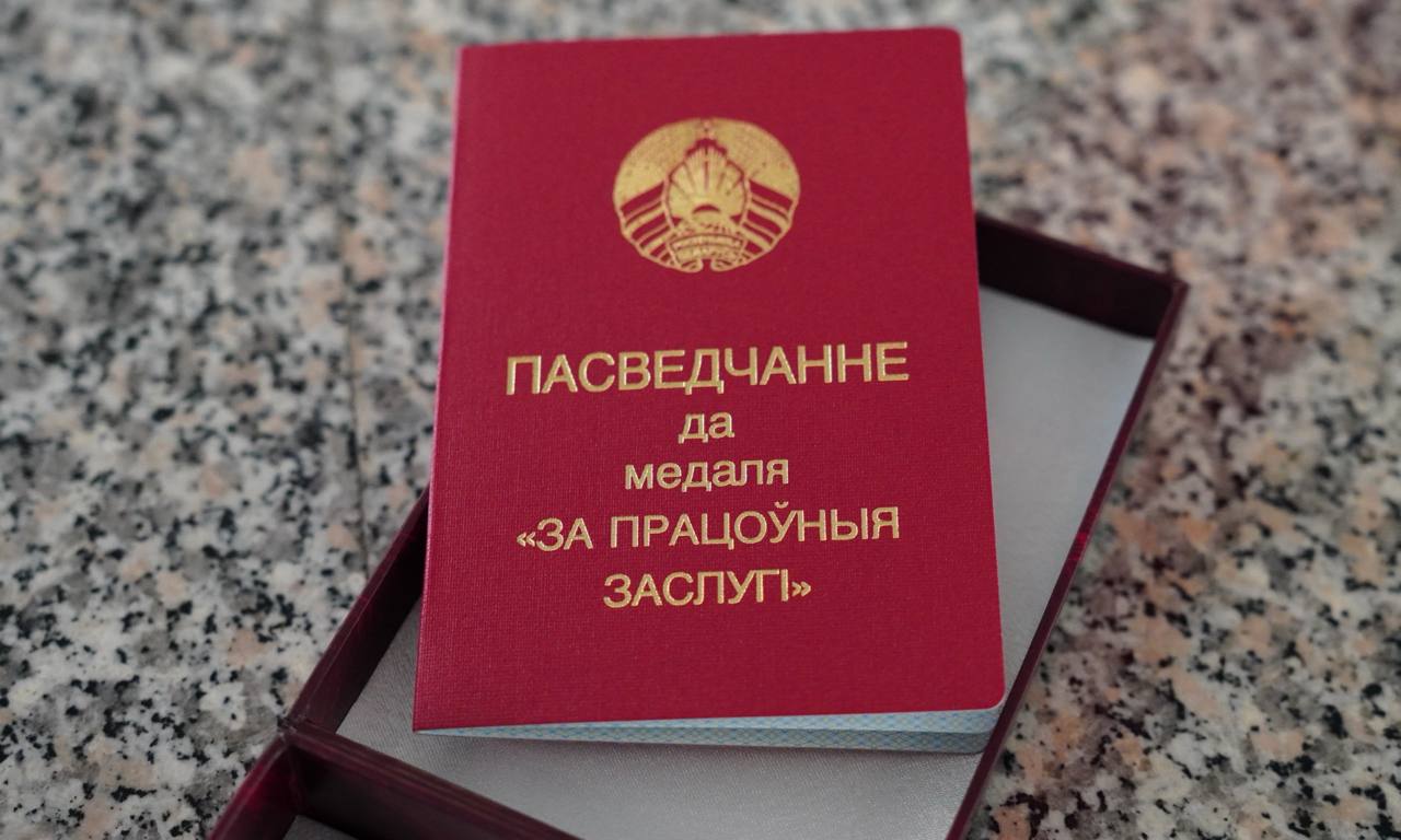 Электромонтеру Борисовских электрических сетей вручена медаль «За трудовыезаслуги»