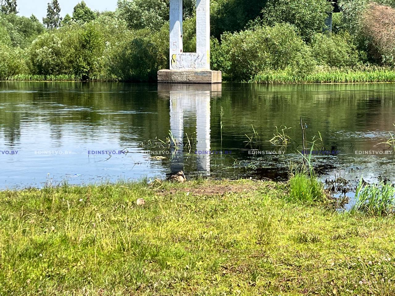 Городской пляж: проверка на чистоту после публикации видео