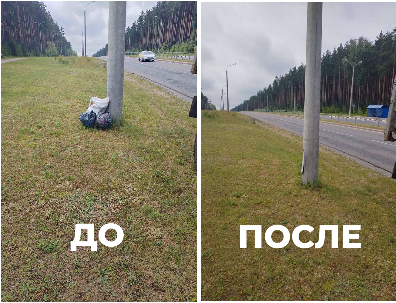 До 30 базовых: почему выкидывать мусор в неположенных местах – плохая идея