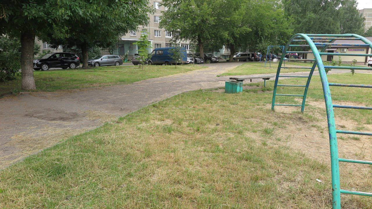 Как в Борисове организован покос травы