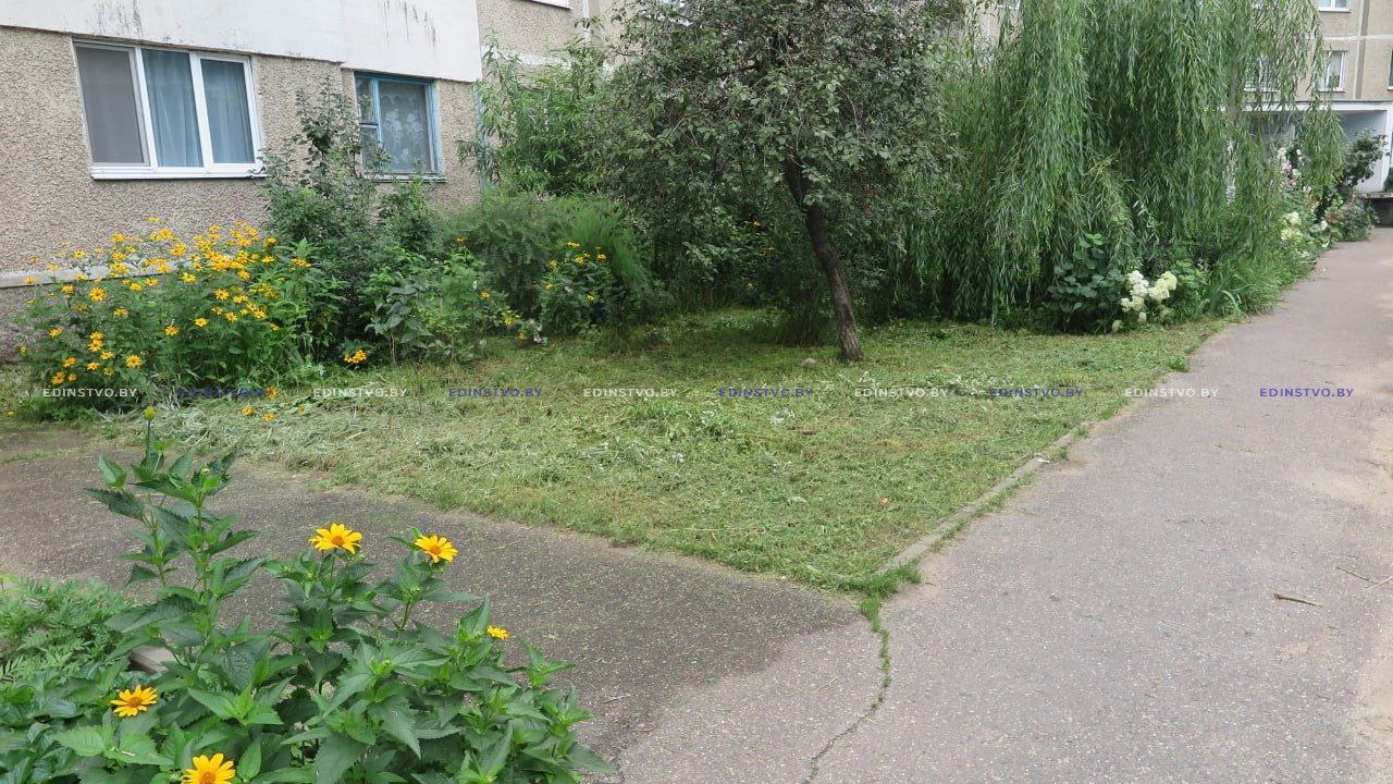 Как в Борисове организован покос травы