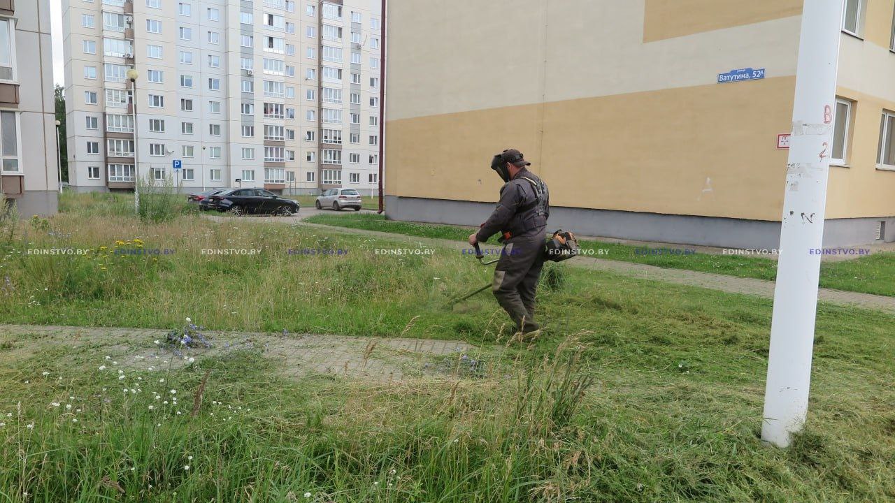 Как в Борисове организован покос травы