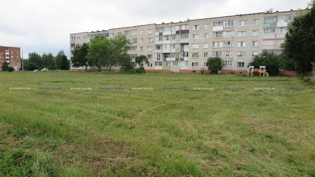 Как в Борисове организован покос травы