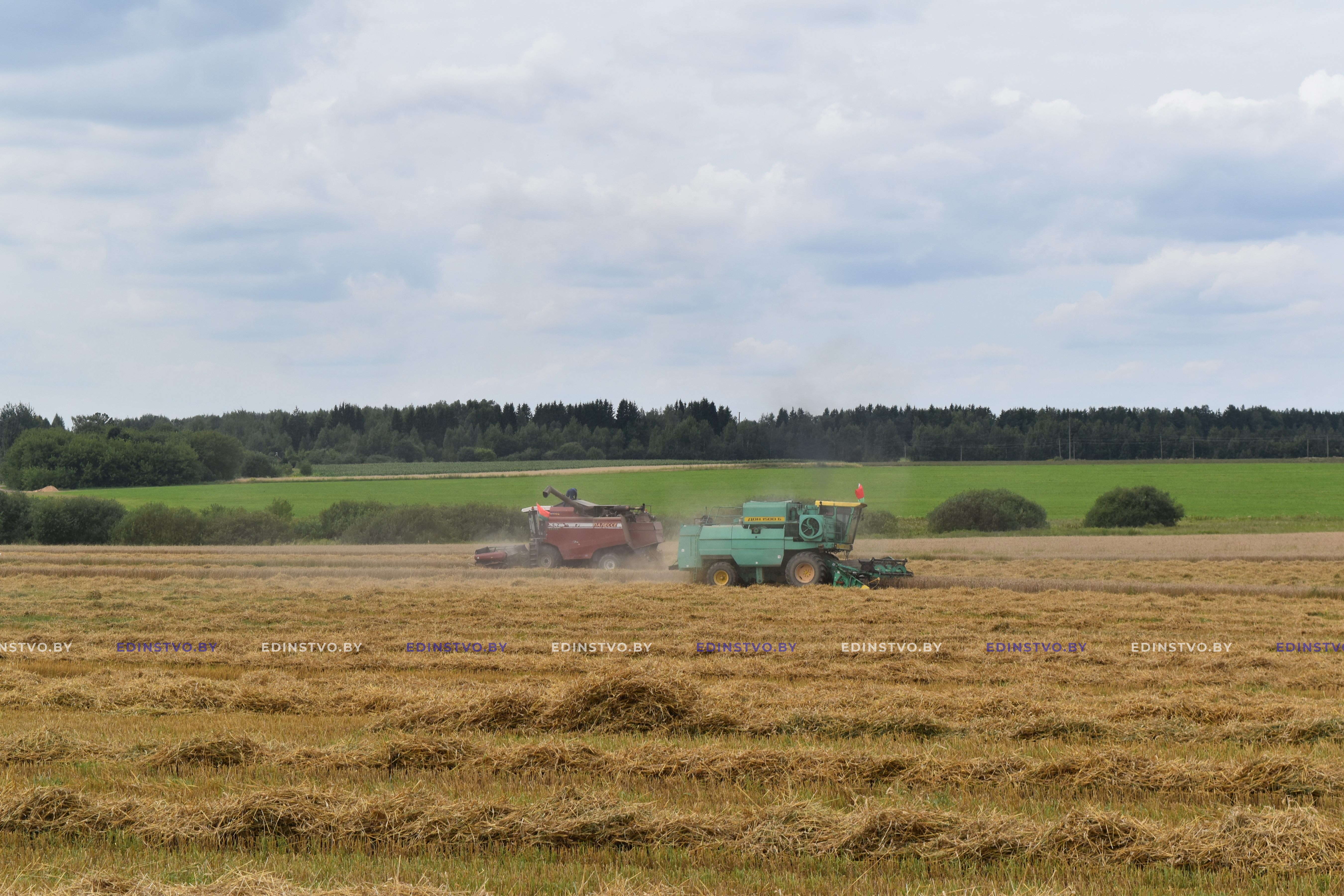 На Борисовщине – первая тысяча на уборке зерна. Кто стал передовиком жатвы? 8 На Борисовщине – первая тысяча на уборке зерна. Кто стал передовиком жатвы?