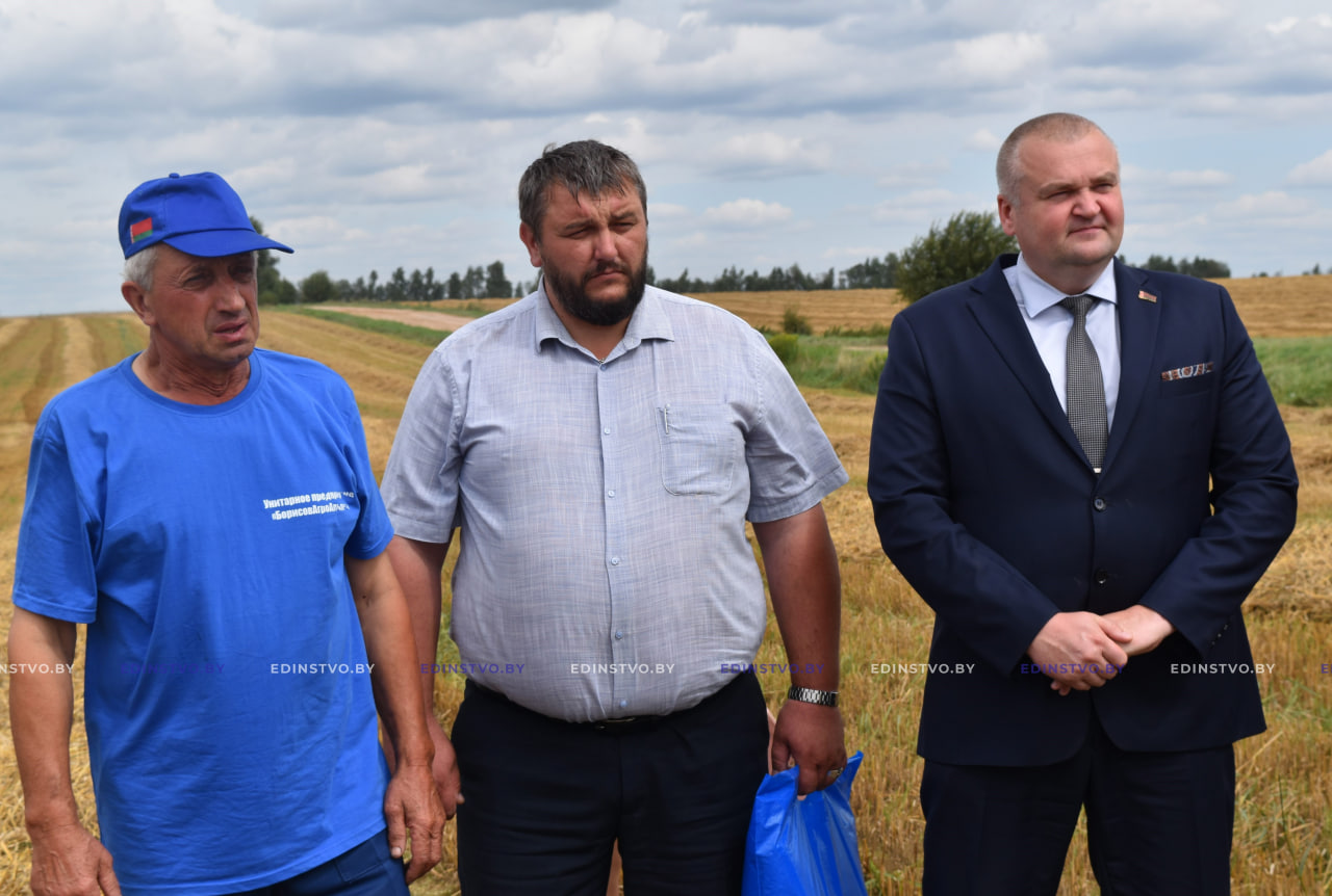 На Борисовщине – первая тысяча на уборке зерна. Кто стал передовиком жатвы? 10 На Борисовщине – первая тысяча на уборке зерна. Кто стал передовиком жатвы?