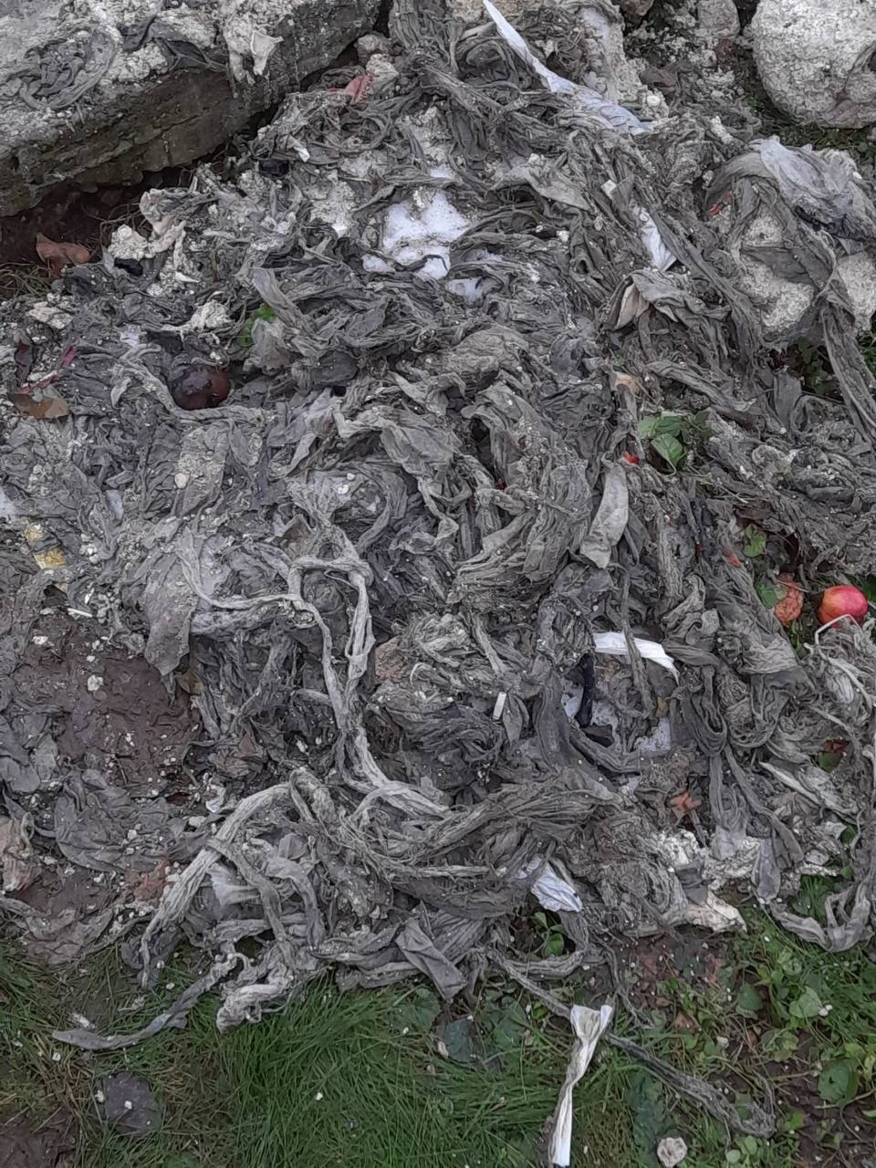 Что нельзя смывать в унитаз? Коммунальщики показали «сокровища» канализации идали несколько рекомендаций