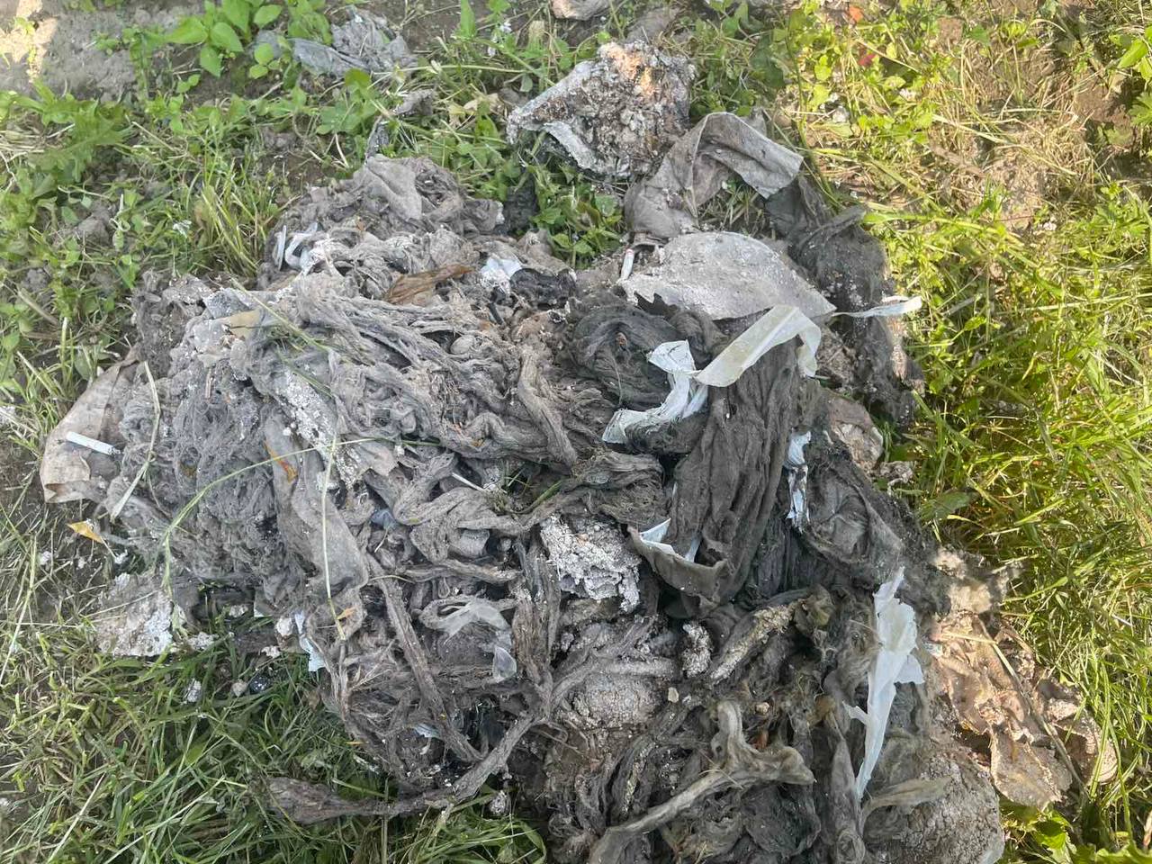 Что нельзя смывать в унитаз? Коммунальщики показали «сокровища» канализации идали несколько рекомендаций