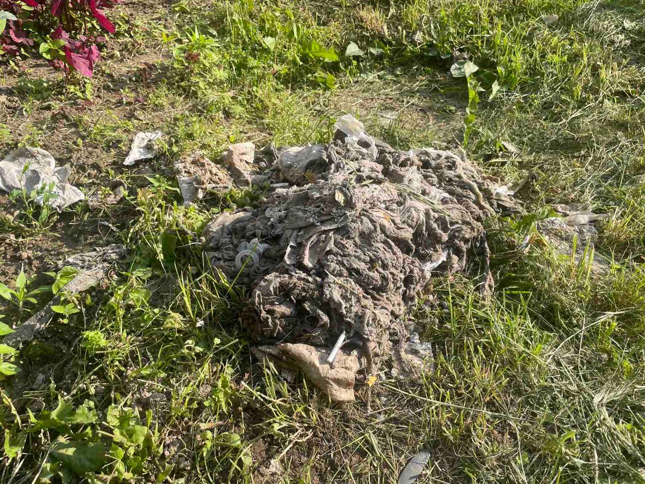 Что нельзя смывать в унитаз? Коммунальщики показали «сокровища» канализации идали несколько рекомендаций