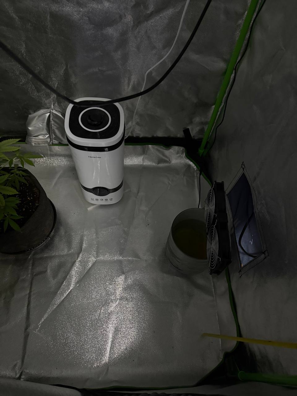 Наркоконтроль: задержан борисовчанин за незаконное выращивание марихуаны