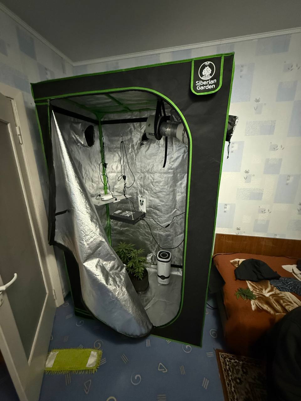 Наркоконтроль: задержан борисовчанин за незаконное выращивание марихуаны