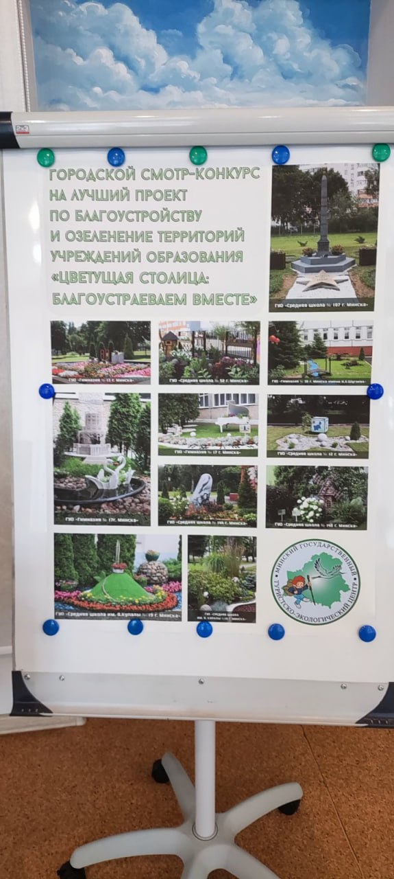 Благоустройство Борисовщины: лучшие инициативы и проекты на семинаре-практикуме 2 Благоустройство Борисовщины: лучшие инициативы и проекты на семинаре-практикуме