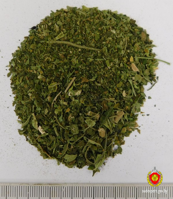 В Борисове задержан мужчина с мини-теплицей для выращивания марихуаны в квартире 2 В Борисове задержан мужчина с мини-теплицей для выращивания марихуаны в квартире